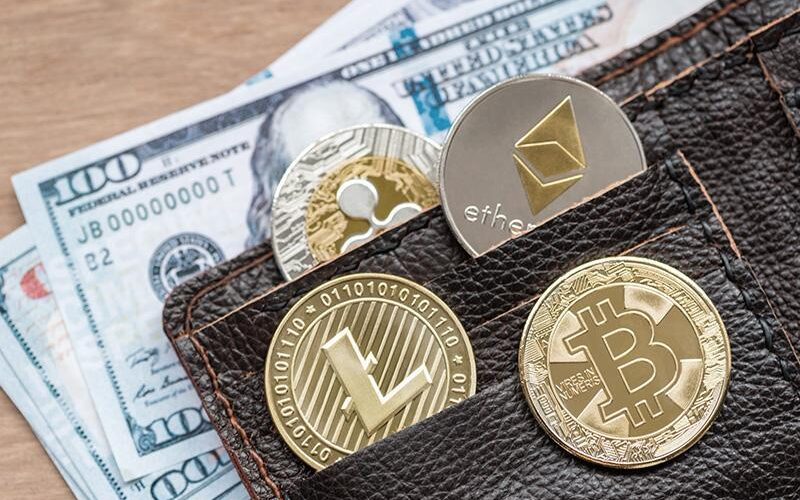 قالب ووردبريس لتطبيق المحفظة 1