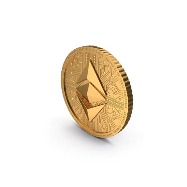 قالب ووردبريس لتطبيق المحفظة 13