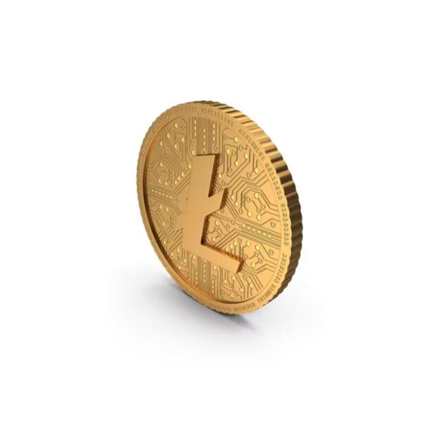 قالب ووردبريس لتطبيق المحفظة 59