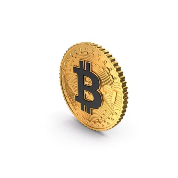 قالب ووردبريس لتطبيق المحفظة 52