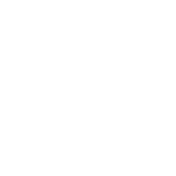 قالب ووردبريس تجديد البيت 88