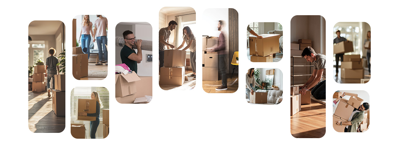 شركة نقل ٢ 29 شركة نقل ٢ 29