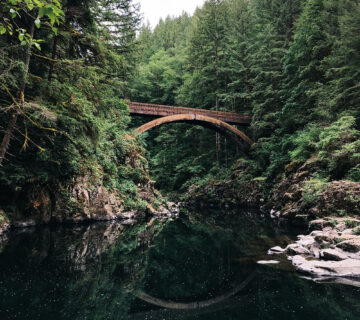 قالب ووردبريس مغامرات التخييم 61