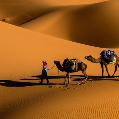 img4 img4