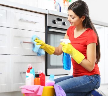 Cleaning WordPress Theme 44