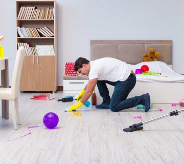 Cleaning WordPress Theme 44