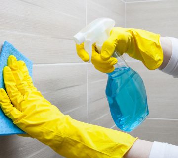 Cleaning WordPress Theme 85