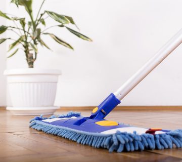 Cleaning WordPress Theme 9