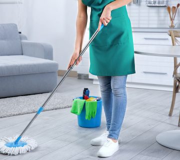 Cleaning WordPress Theme 51