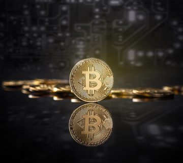 Cryptocurrency WordPress Theme 20