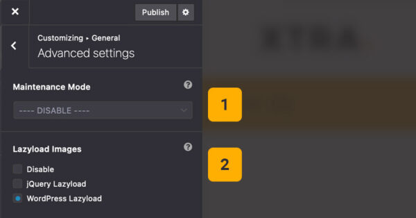 Theme Options: Advanced – XTRA Tutorials