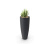 Green Tall Plant