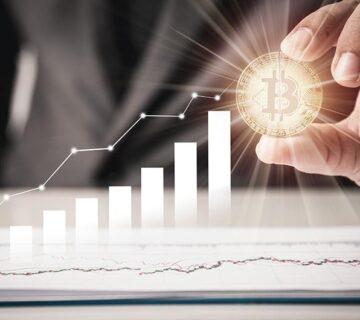 Wallet App WordPress Theme 7