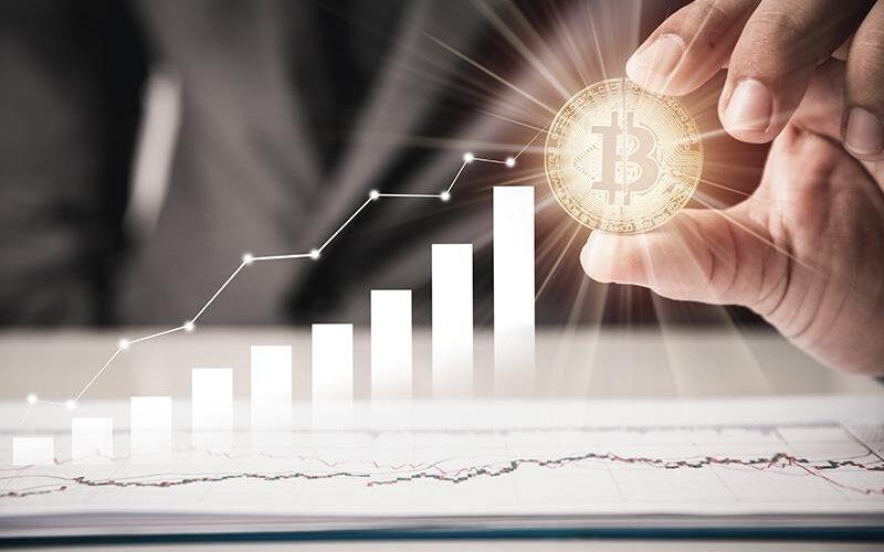 Wallet App WordPress Theme 14