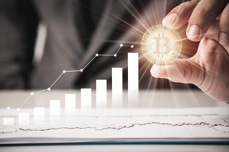 Wallet App WordPress Theme 77