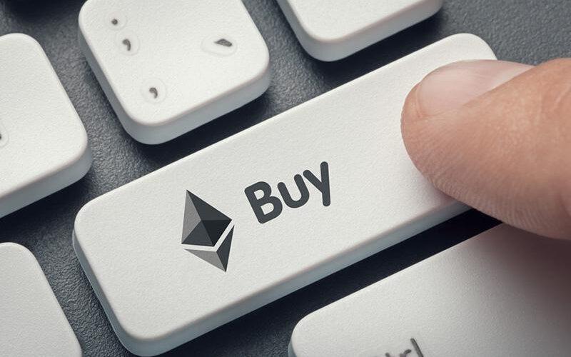 Wallet App WordPress Theme 75