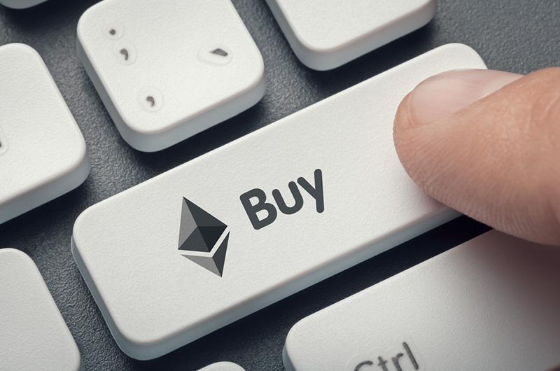 Wallet App WordPress Theme 56