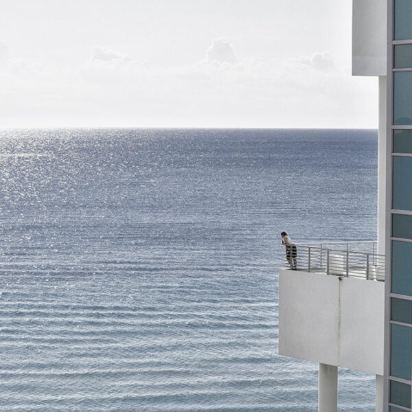 Architect WordPress Theme 66 Architect WordPress Theme 66