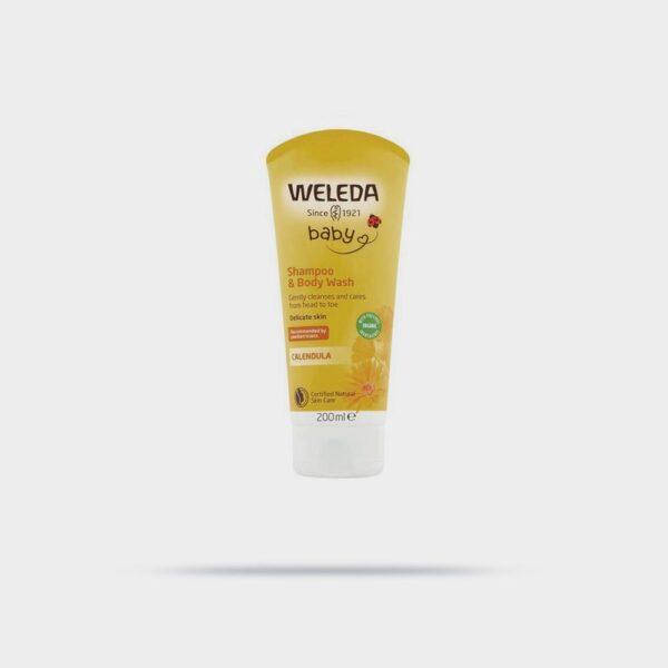 Big Shop WordPress Theme 59 Easy Body Wash Shampoo