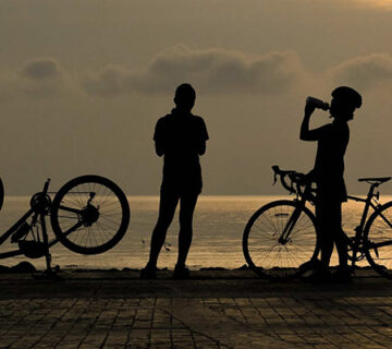 Bike Shop 26 Bike Shop 26