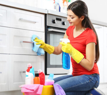 Cleaning WordPress Theme 59 Cleaning WordPress Theme 59