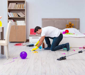 Cleaning WordPress Theme 14