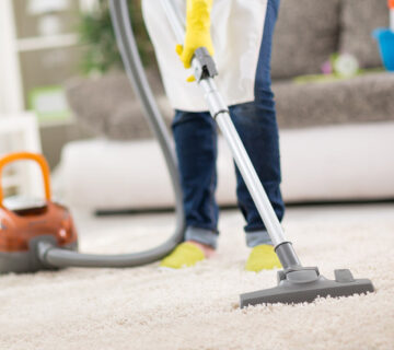 Cleaning WordPress Theme 46