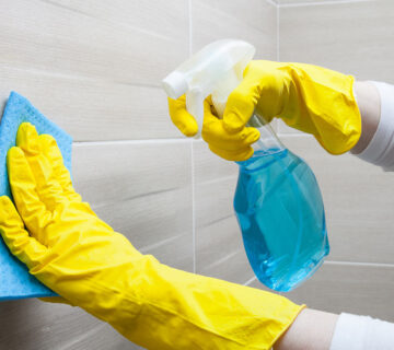 Cleaning WordPress Theme 62