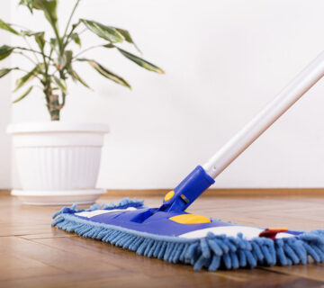 Cleaning WordPress Theme 37