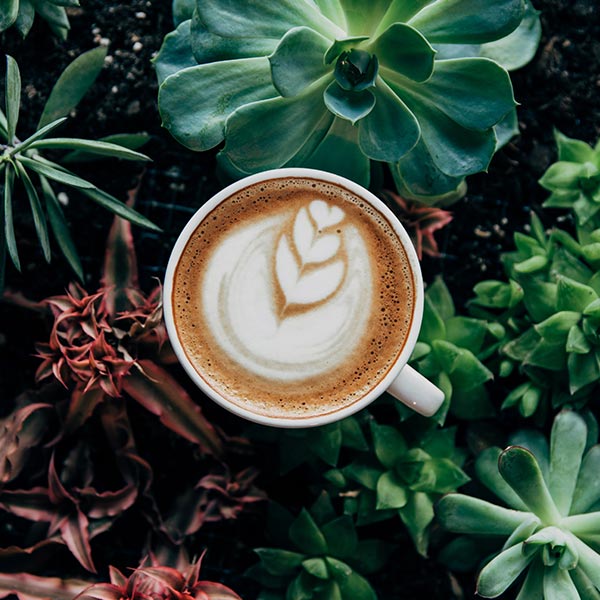 Coffee WordPress Theme 5 Coffee WordPress Theme 5