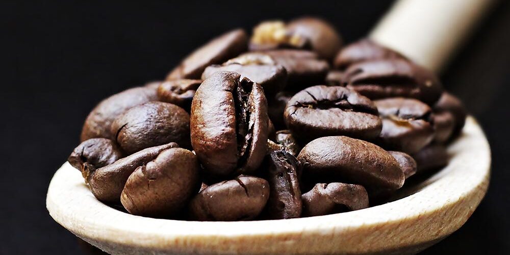 Coffee WordPress Theme 59