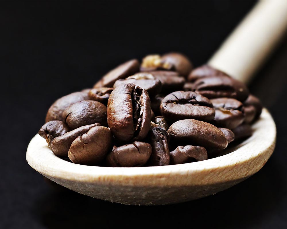 Coffee WordPress Theme 70