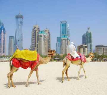 Dubai Investment WordPress Theme 3