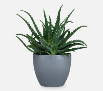 Flower Shop WordPress Theme 2