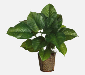 Flower Shop WordPress Theme 59