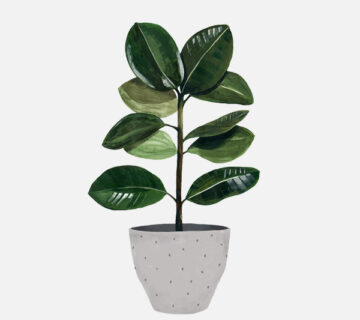 Flower Shop WordPress Theme 2