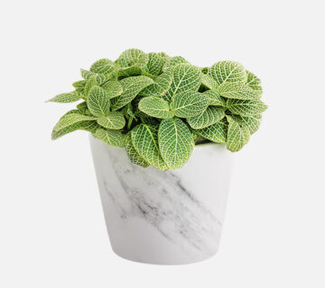 Flower Shop WordPress Theme 59