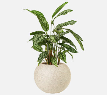 Flower Shop WordPress Theme 54