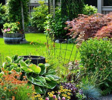 Gardening 2 WordPress Theme 73