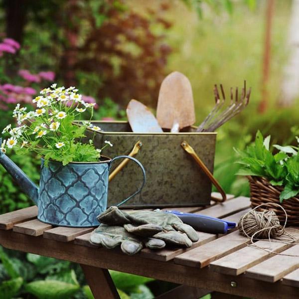 Gardening 2 WordPress Theme 65 Gardening 2 WordPress Theme 65