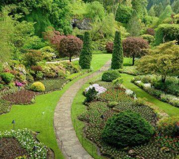 Gardening 2 WordPress Theme 32