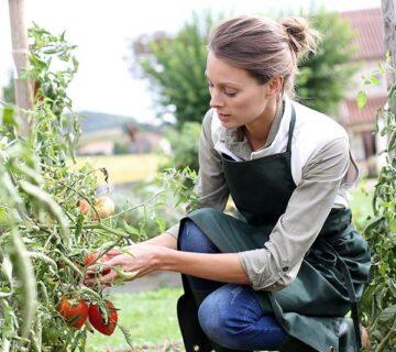 Gardening 2 WordPress Theme 20