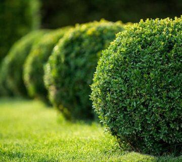 Gardening 2 WordPress Theme 78 Gardening 2 WordPress Theme 78