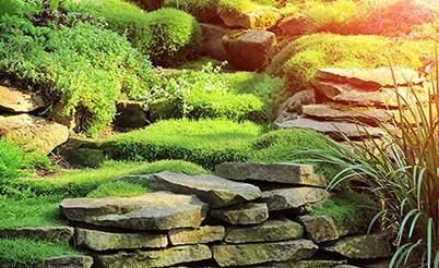 Gardening 2 WordPress Theme 33 Gardening 2 WordPress Theme 33