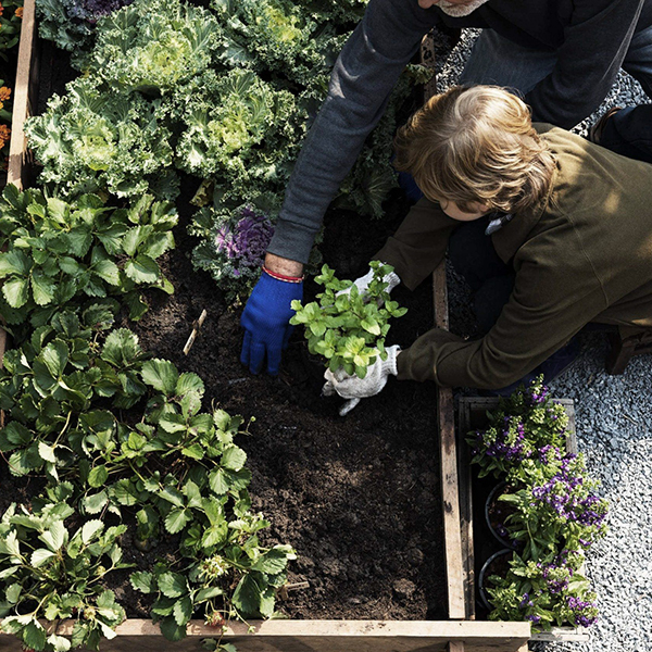 Gardening 2 WordPress Theme 46 Gardening 2 WordPress Theme 46