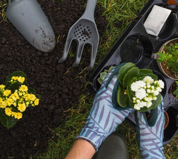 Gardening WordPress Theme 82