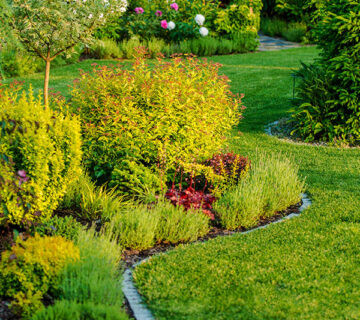 Gardening WordPress Theme 87