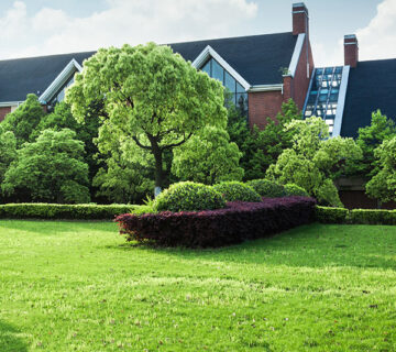 Gardening WordPress Theme 76