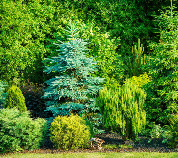 Gardening WordPress Theme 91