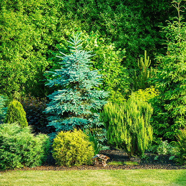 Gardening WordPress Theme 82
